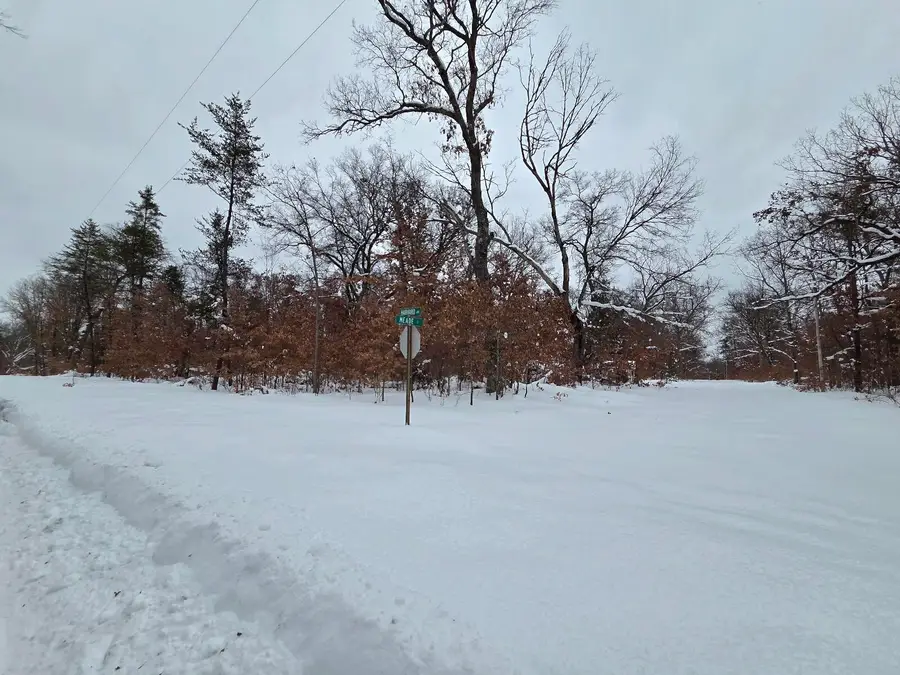 2660 W Mead Street, Baldwin, MI 49304 - #2