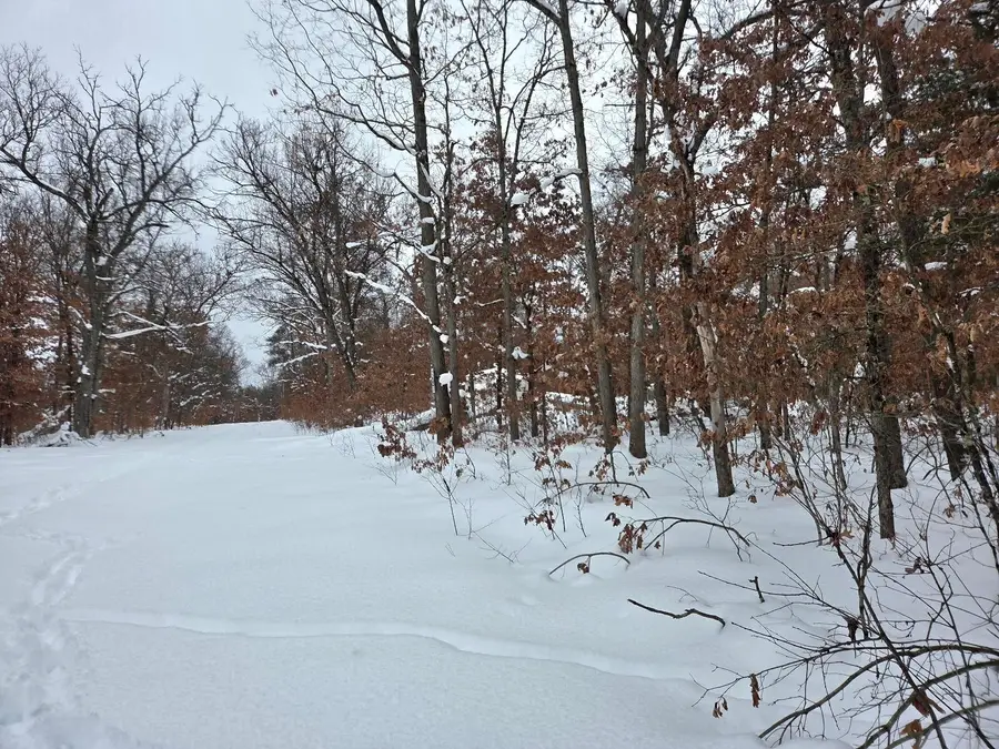 V/L W Mead Street, Baldwin, MI 49304 - #2