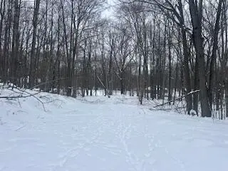 9980 Red Deer Court #577, Canadian Lakes, MI 49346 - Image #2