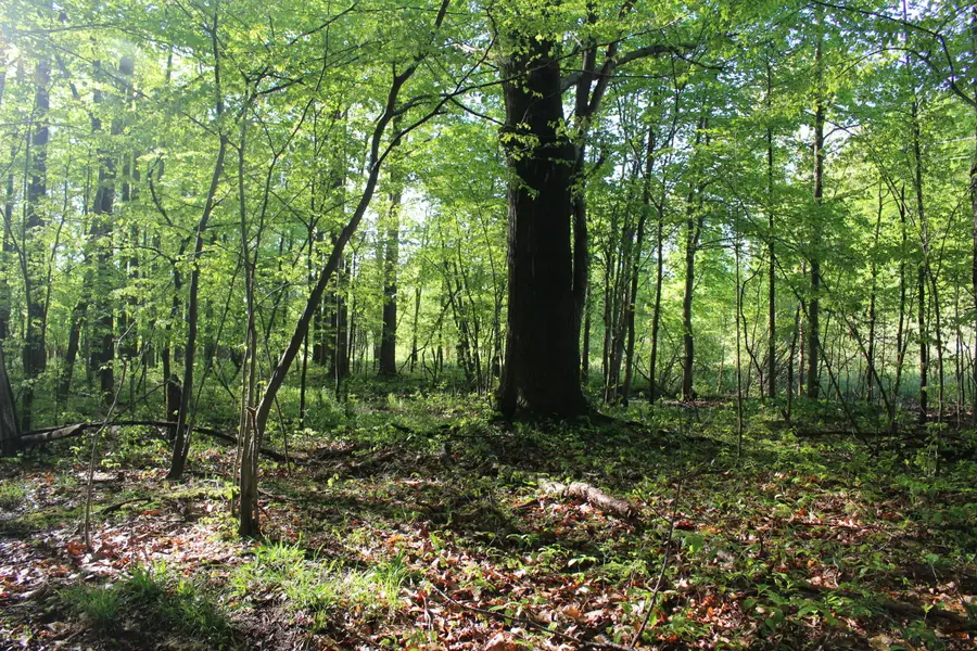 4273 104th Avenue, Allegan, MI 49010 - #2