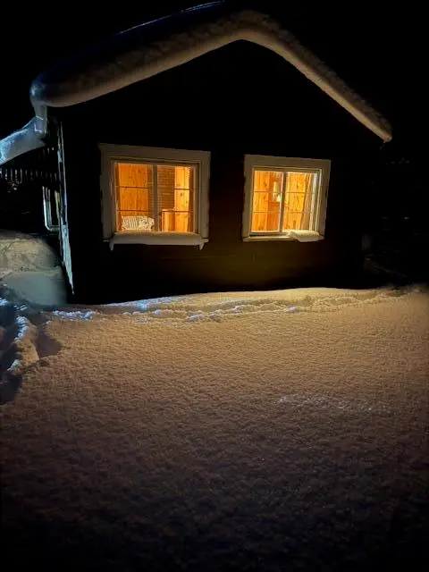 5286 N Twin Creek Road, Luther, MI 49656 - #1