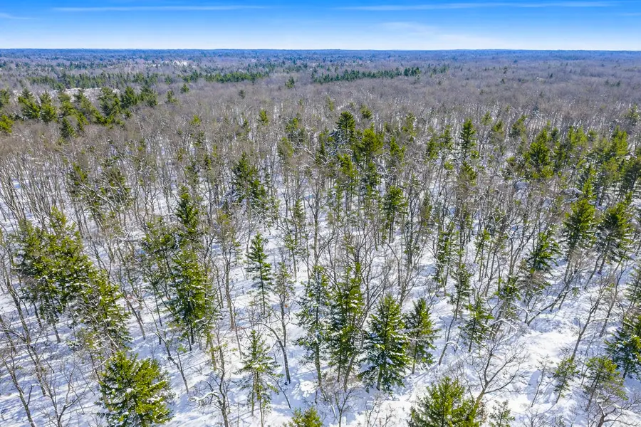 VL Poppy Way Road, Twin Lake, MI 49457 - #2