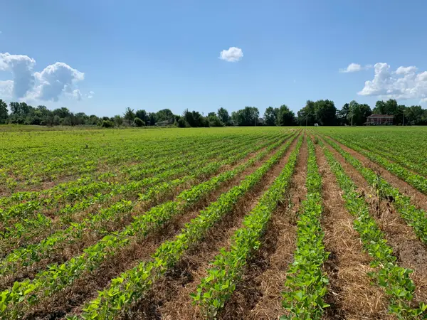 00 Gibraltar Road, Flat Rock, MI 48134