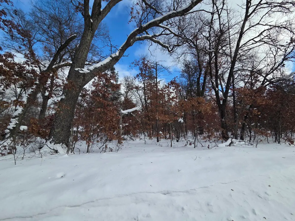 V/L S Harvard Ave., Baldwin, MI 49304 - #1