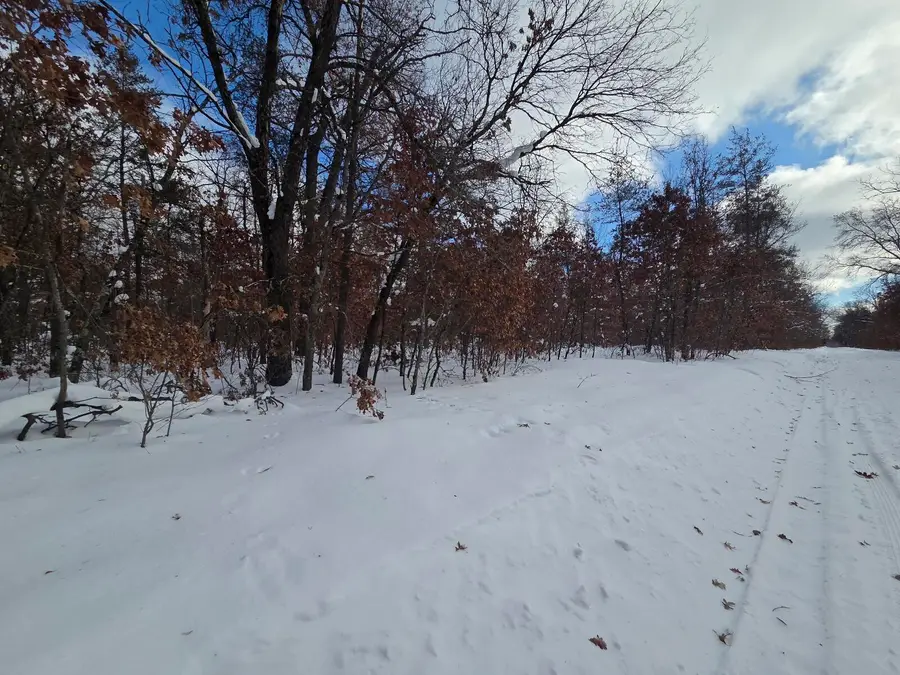 V/L S Harvard Ave., Baldwin, MI 49304 - #2