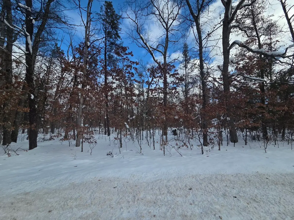 V/L S Astor Rd., Baldwin, MI 49304 - #1