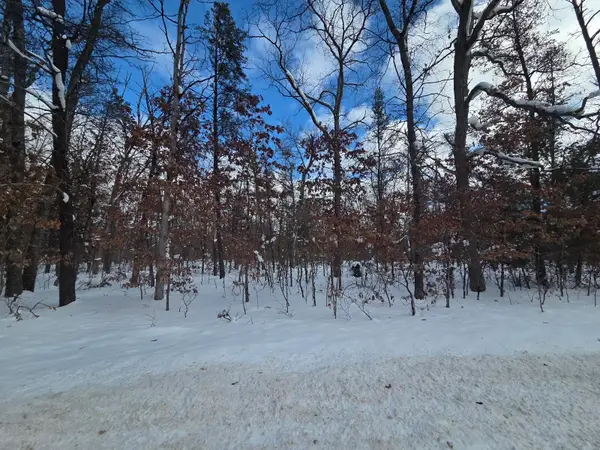 V/L S Astor Rd., Baldwin, MI 49304