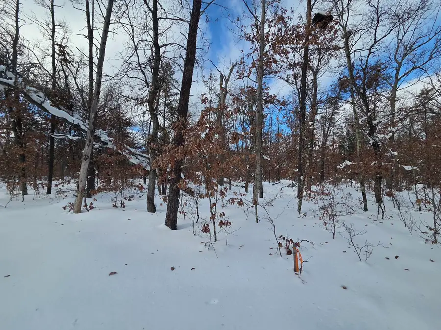 V/L S Astor Rd., Baldwin, MI 49304 - #2