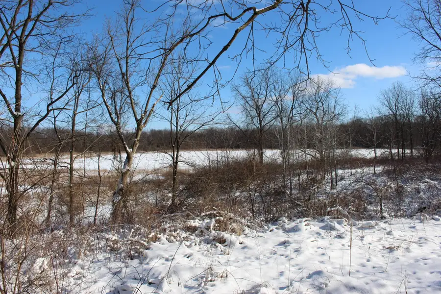 9571 N Waldron Road, Jerome, MI 49249 - #2