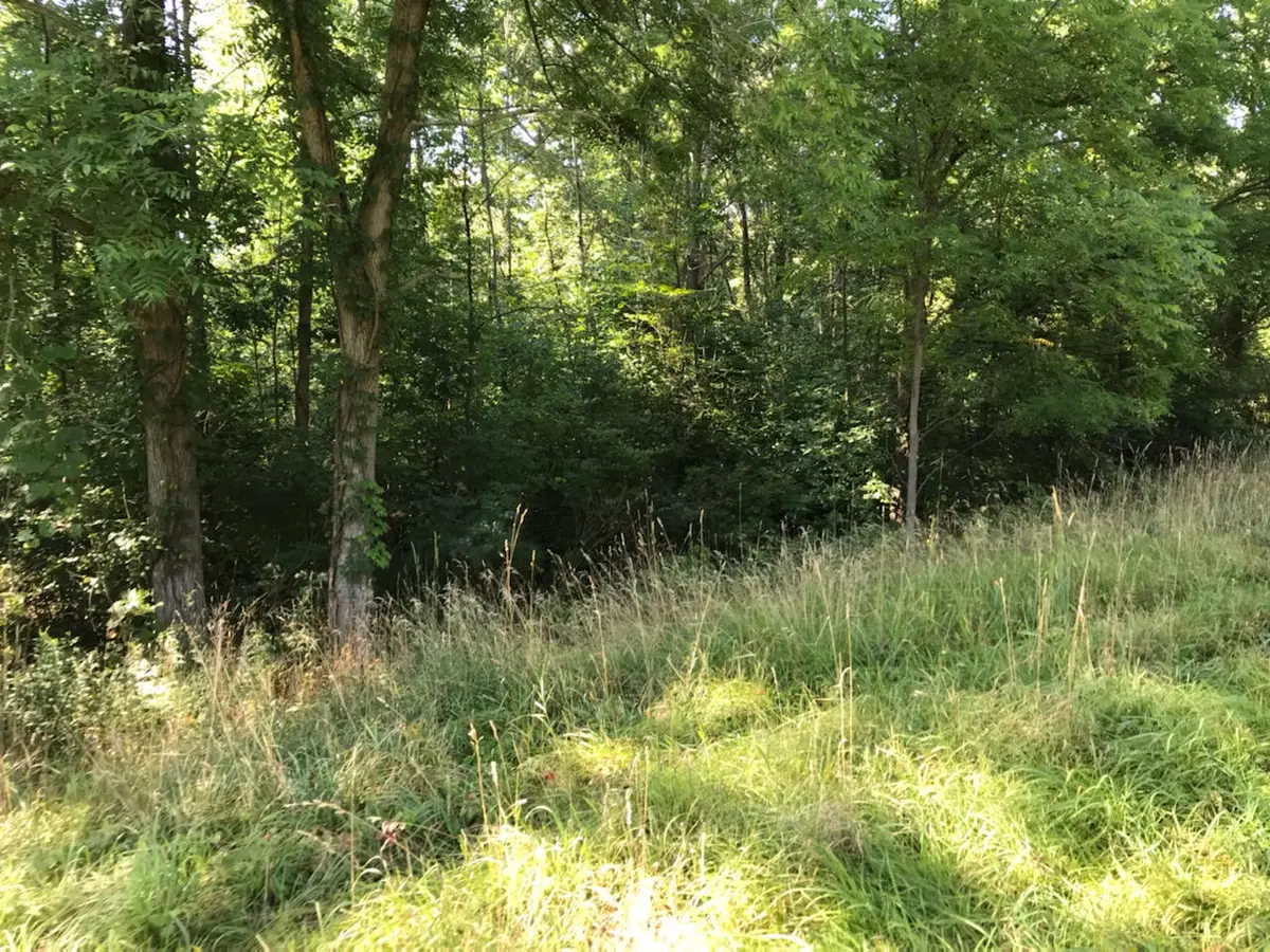 37111 Paw Paw Road, Paw Paw, MI 49079 - Image #1