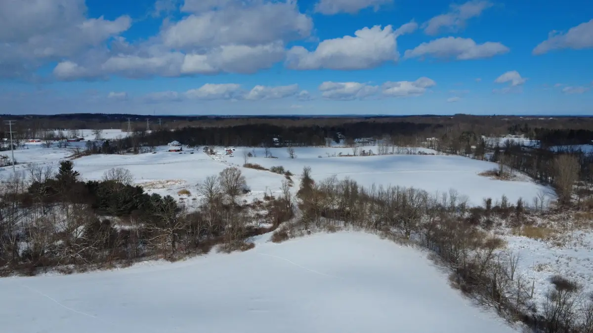 TBD Bordman Road #TBD, Leonard, MI 48367 - #1