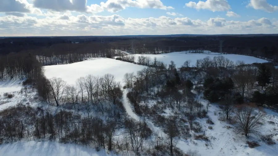 TBD Bordman Road #TBD, Leonard, MI 48367 - #2