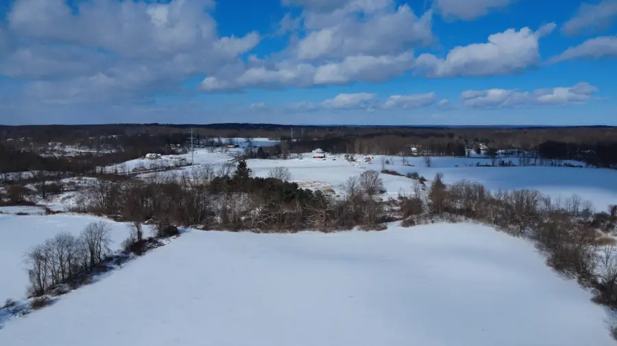 TBD Bordman Road #TBD, Leonard, MI 48367 - #3