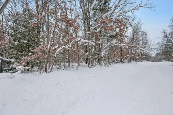 V/L Bagnall Blvd, Baldwin, MI 49304