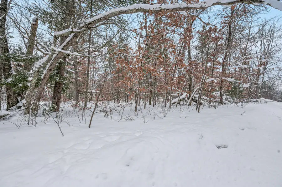 V/L Bagnall Blvd, Baldwin, MI 49304 - #2