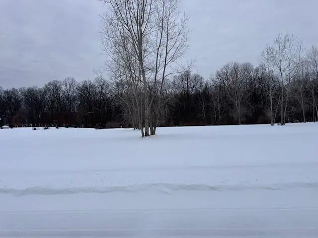 1964 Bridgets Way, Gregory, MI 48137 - #2