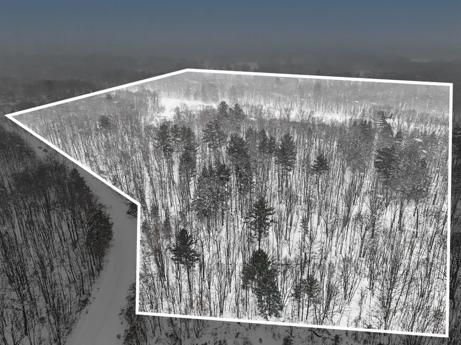 Nadeau Drive, Pullman, MI 49450 - #2