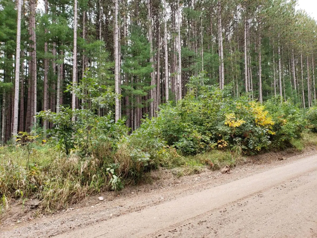 V/L Lakola Road, Leroy, MI 49655 - #1