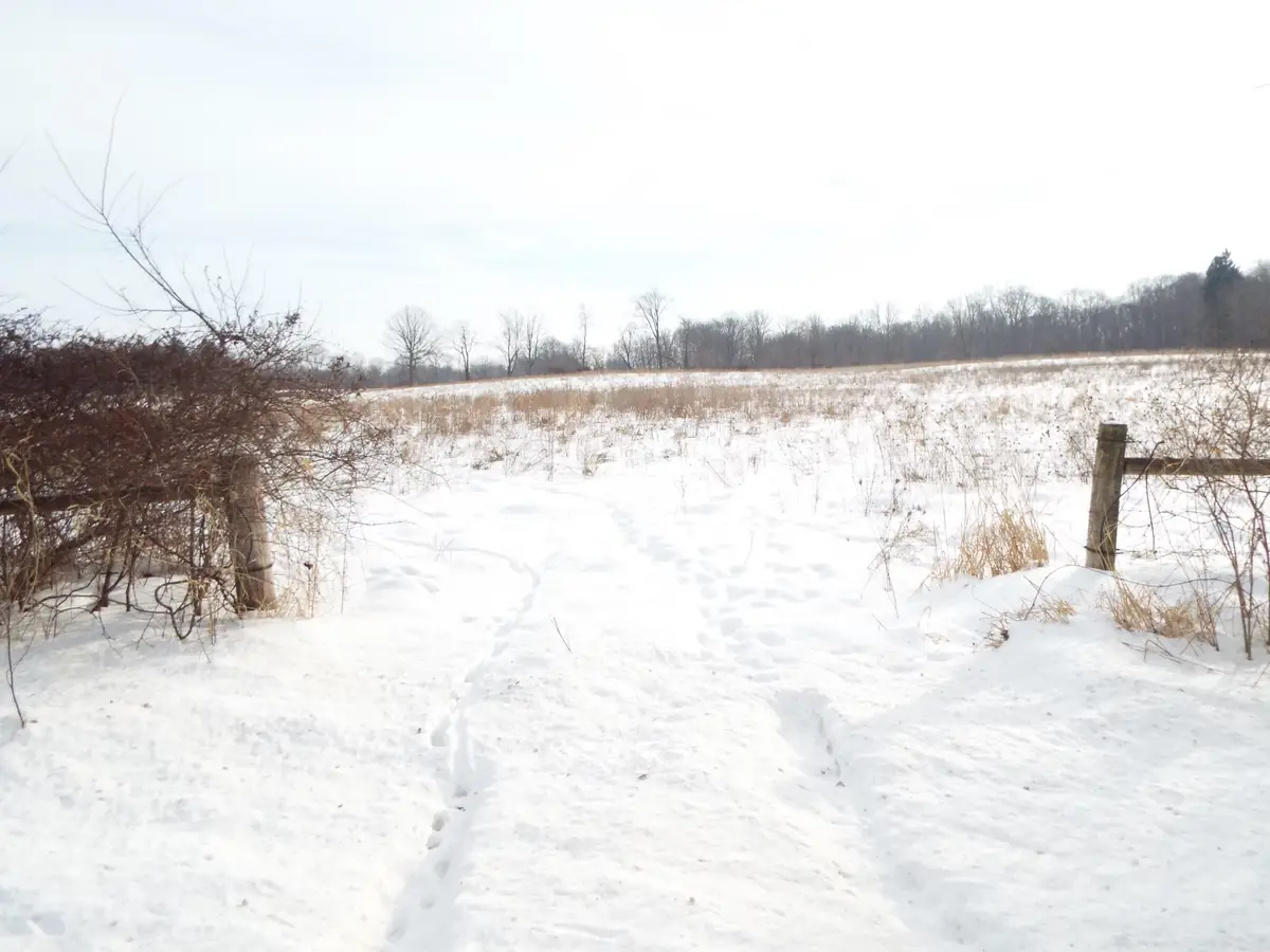 B Peacock Road, Leslie, MI 49251 - #1