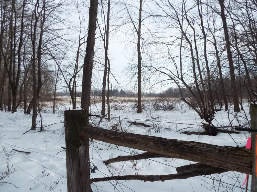 B Peacock Road, Leslie, MI 49251 - #3