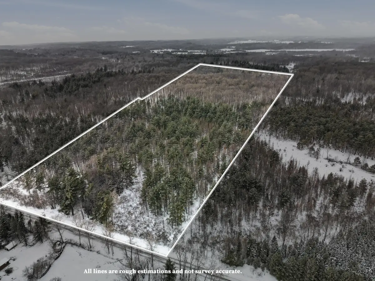 VL 17 Mile Road, Leroy, MI 49655 - #1