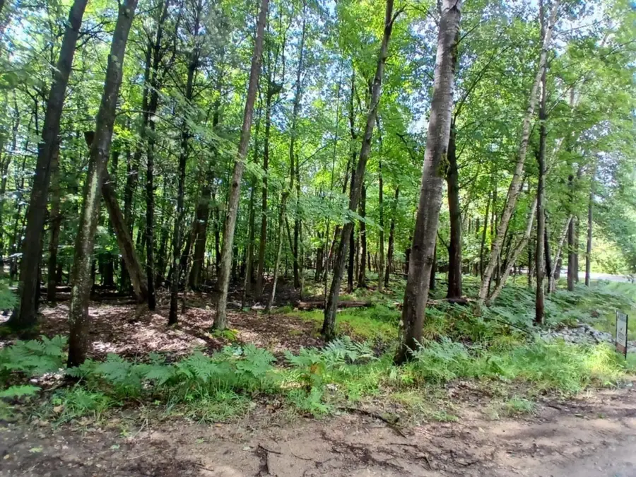 Range Street, Mears, MI 49436 - #2