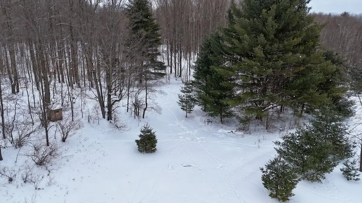 V/L 17 Mile Rd, Leroy, MI 49655 - #1