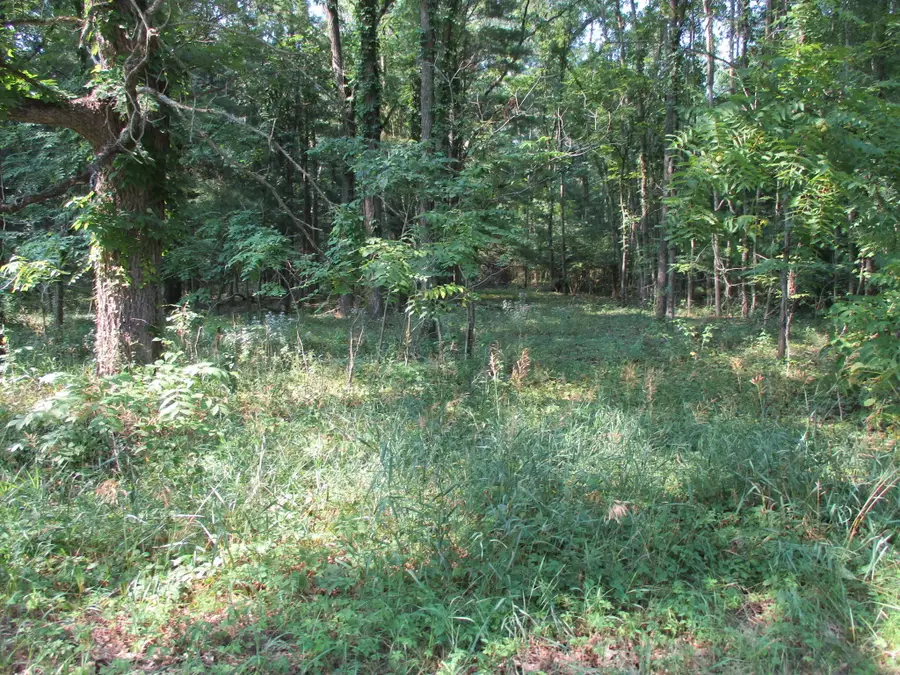 105th Avenue #Parcel 04, Pullman, MI 49450 - #2