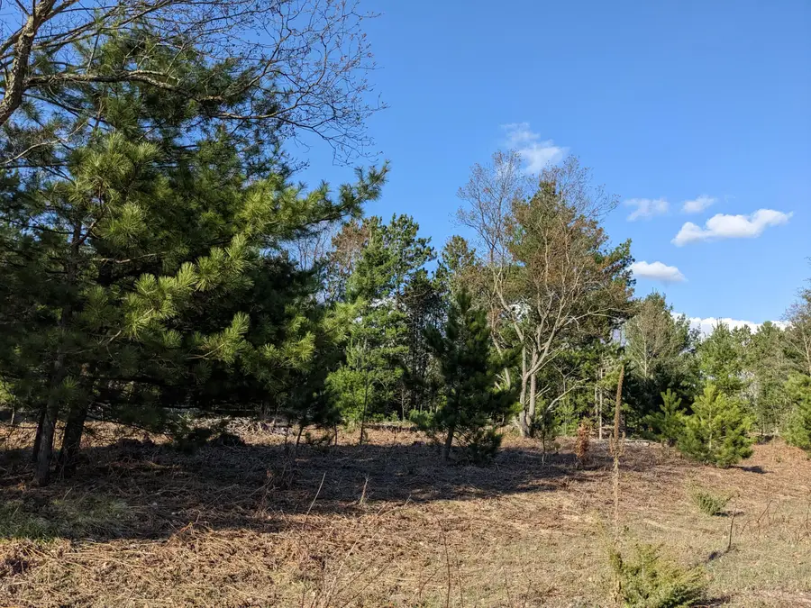 Bergstrom Drive, Kaleva, MI 49645 - #3