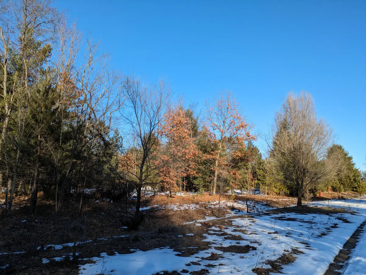 Bergstrom Drive, Kaleva, MI 49645 - Image #1