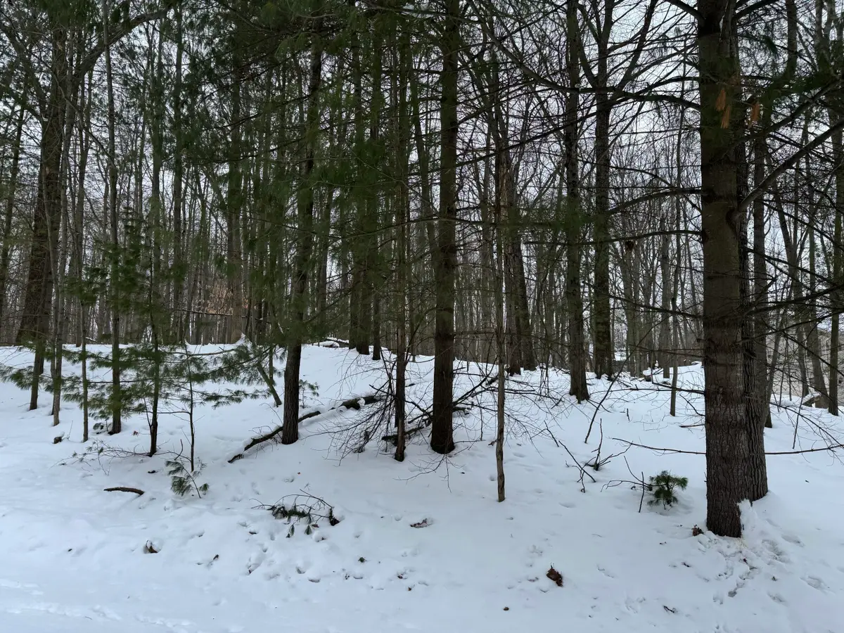 10953 Shawnee Trail, Stanwood, MI 49346 - #1