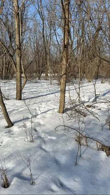 Warner Road, Laingsburg, MI 48848 - #2