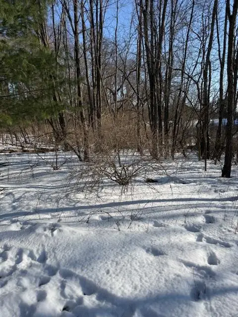 Warner Road, Laingsburg, MI 48848 - #3