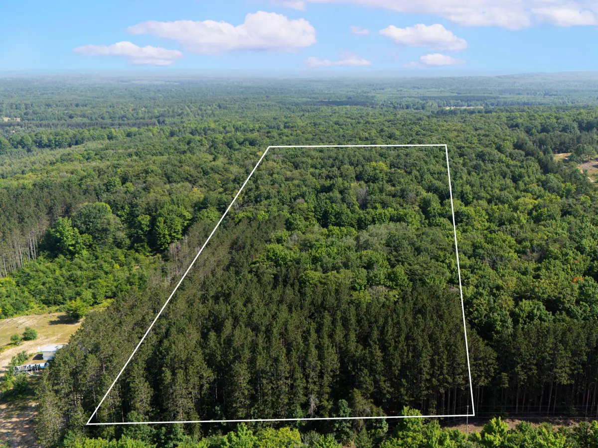 VL W Phelps Road, Manton, MI 49663 - #1