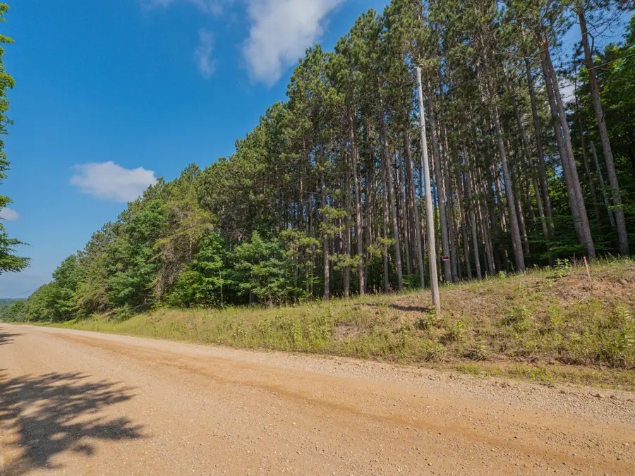 VL W Phelps Road, Manton, MI 49663 - #2