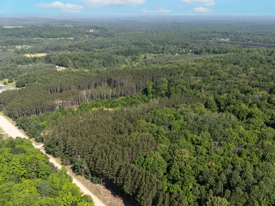 VL W Phelps Road, Manton, MI 49663 - #3