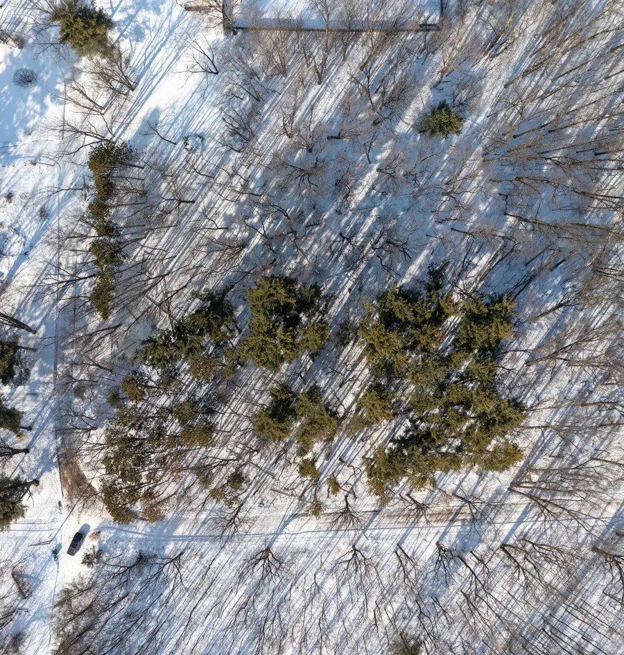 22160 Country Trace, Edwardsburg, MI 49112 - #3