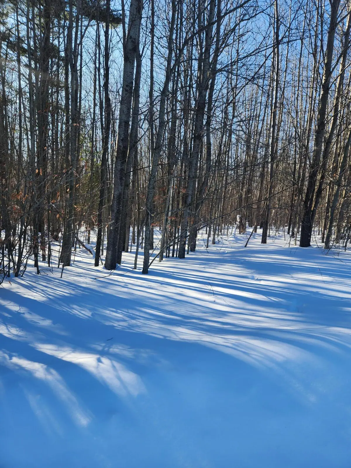 W Starlight Ridge Circle #62, Onekama, MI 49675 - #1