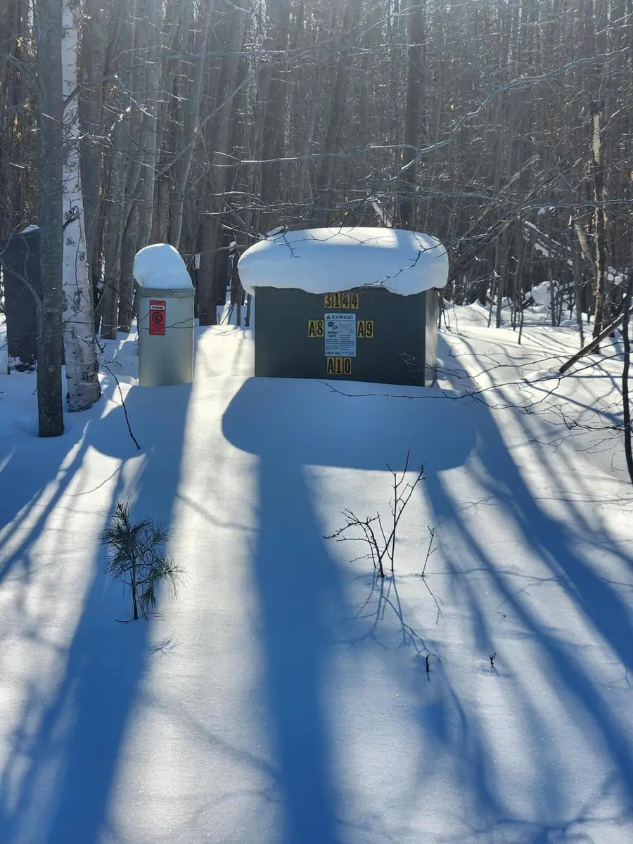 W Starlight Ridge Circle #62, Onekama, MI 49675 - #2