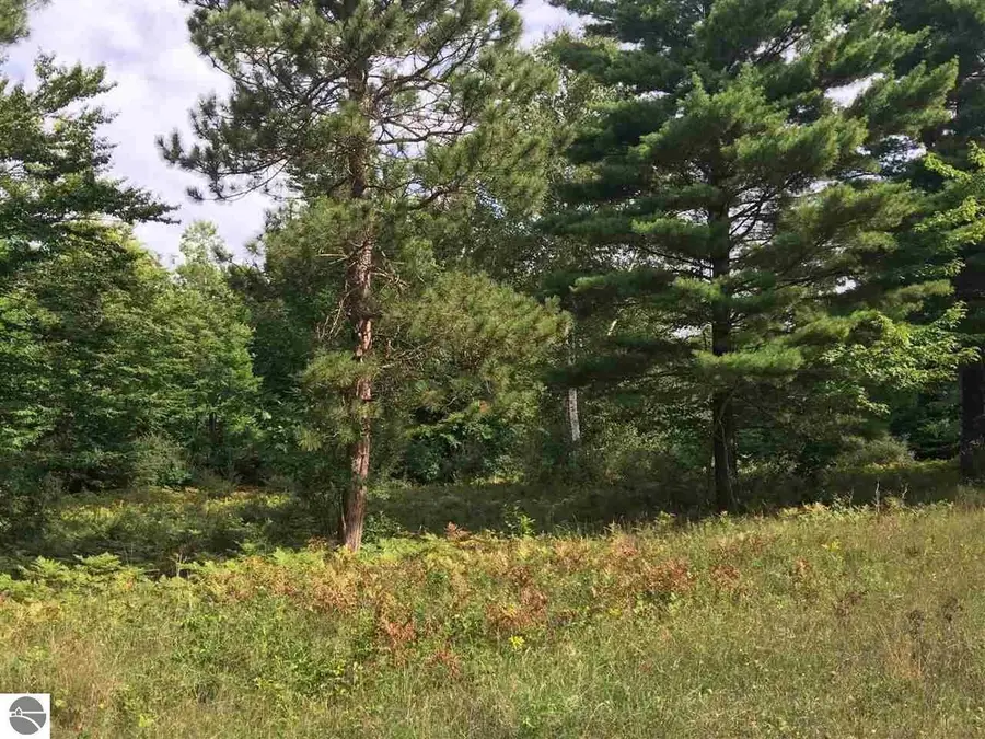 Wildwood Trail, Manistee, MI 49660 - #2