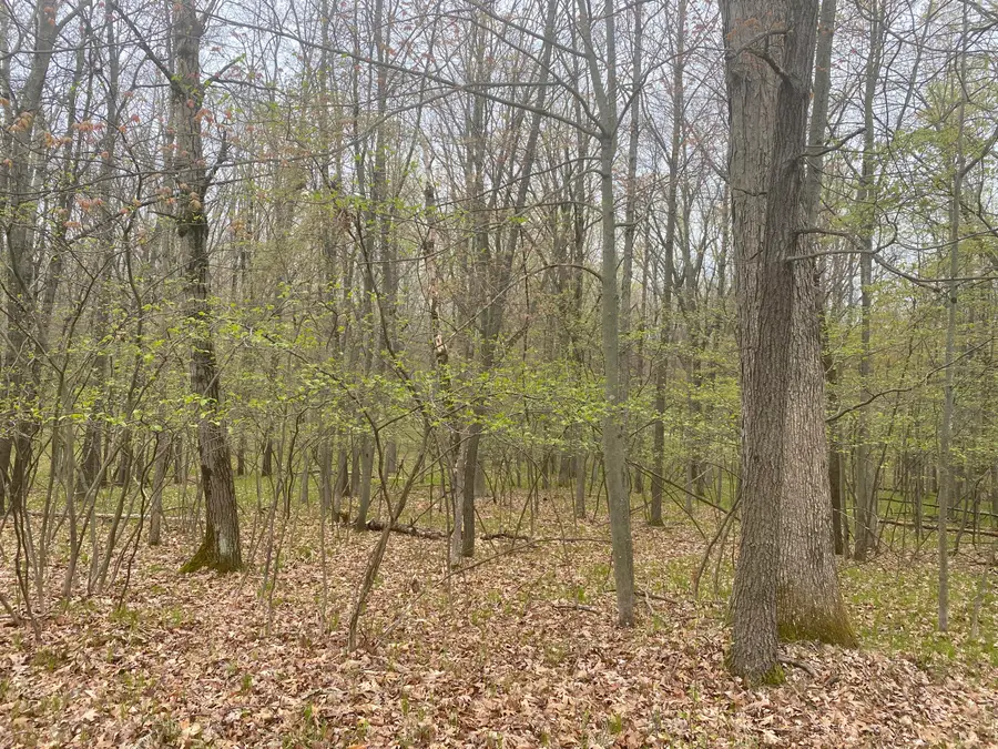 12075 Halifax Drive #418, Stanwood, MI 49346 - #3