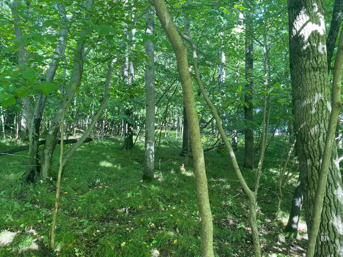 12100 Belle Isle Drive #369, Stanwood, MI 49346 - #1