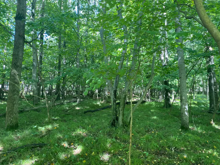 12100 Belle Isle Drive #369, Stanwood, MI 49346 - #2