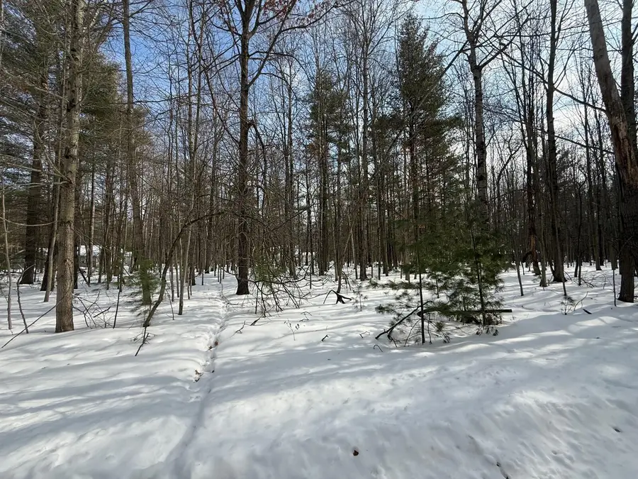 6804 Maple Court, Canadian Lakes, MI 49346 - #3