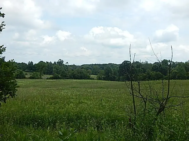 1611 E Hyde Road, Saint Johns, MI 48879 - #2