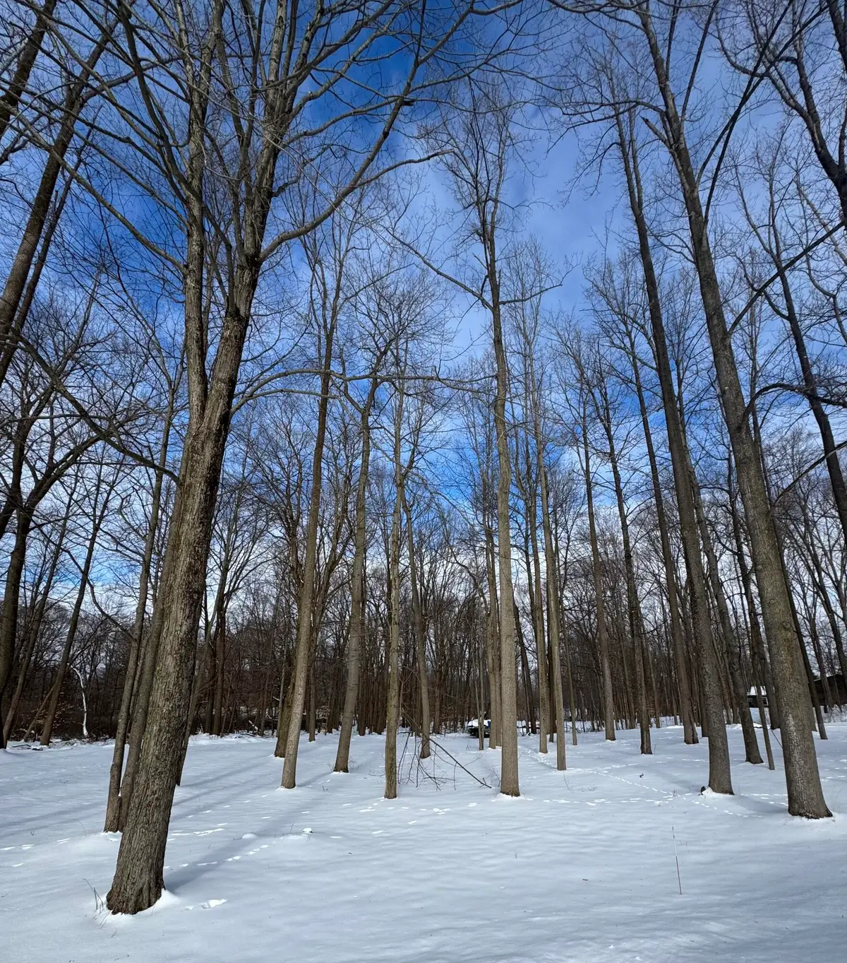 V/L Timberlane Drive, Jones, MI 49061 - #1