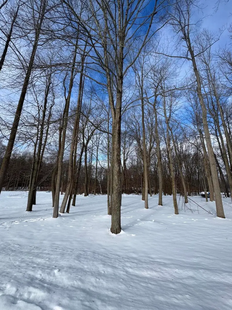 V/L Timberlane Drive, Jones, MI 49061 - #2