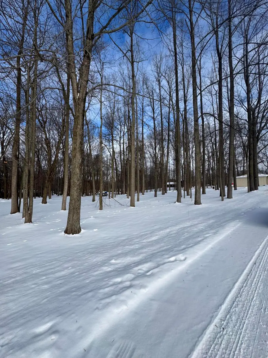 V/L Timberlane Drive, Jones, MI 49061 - #3