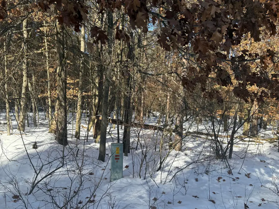 10934 Dobbyn Drive #55, Stanwood, MI 49346 - #2