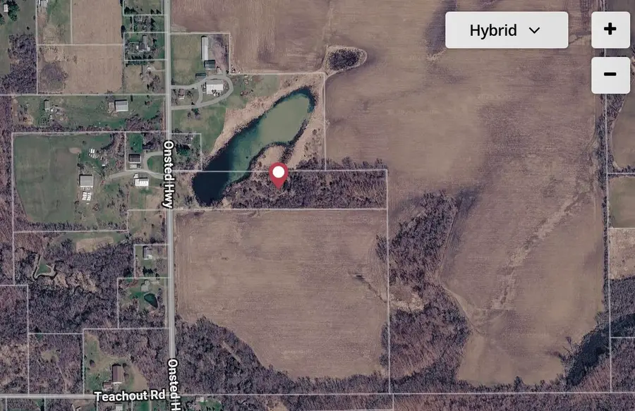 7231 Onsted Highway, Onsted, MI 49265 - #3